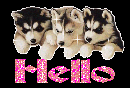 Hello
